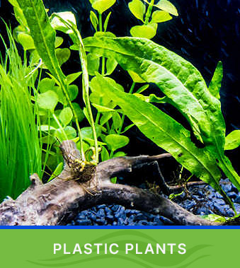 Shop Plastic Plants