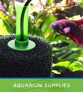 Shop Aquarium Supplies