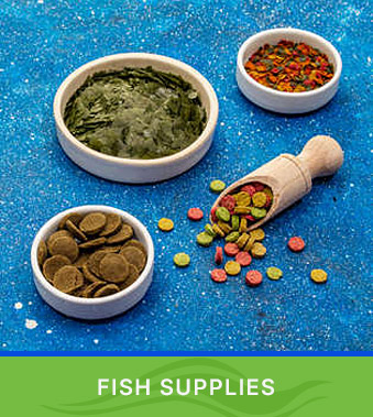 Shop Fish Supplies