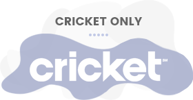 Compatibility cricket Icon