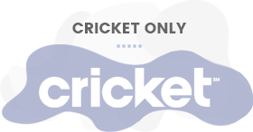 Item compatibility-cricket Icon