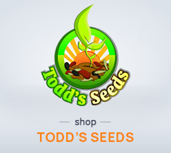 Shop Todd's Seeds